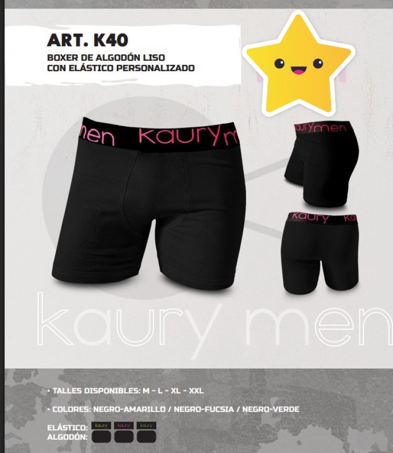 ARTICULO K40