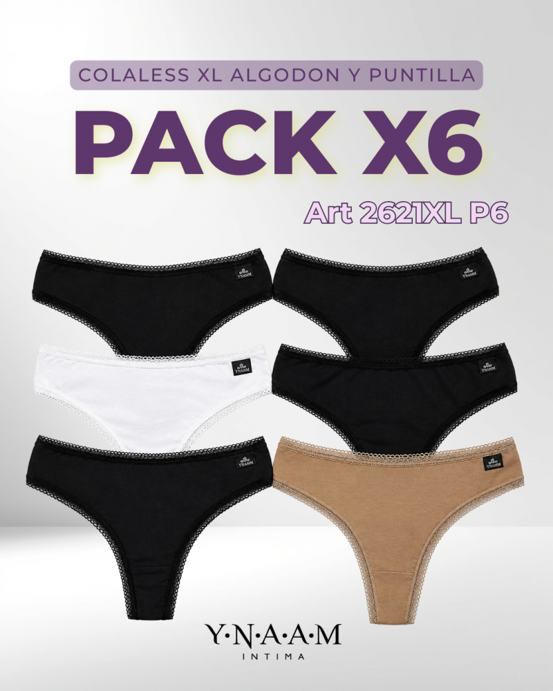 2621XL P6