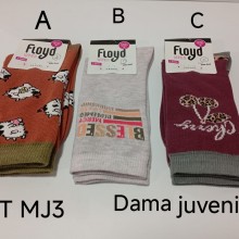 ARTICULO MJ3