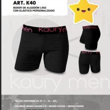 ARTICULO K40