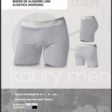ARTICULO K48
