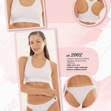 ARTICULO 2002