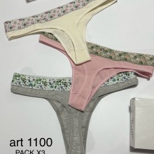 ARTICULO 1100