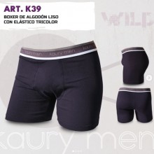 ARTICULO K39
