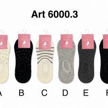 ART 6000.3