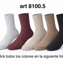 8100.5