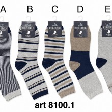8100.1