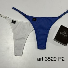 3529 P2